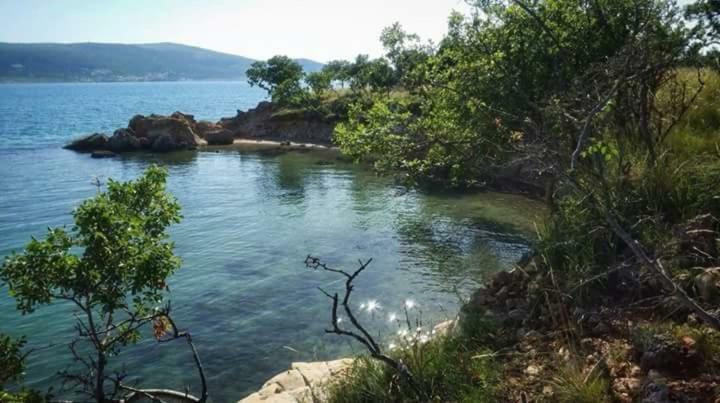 Apartman Pajo Seline Εξωτερικό φωτογραφία